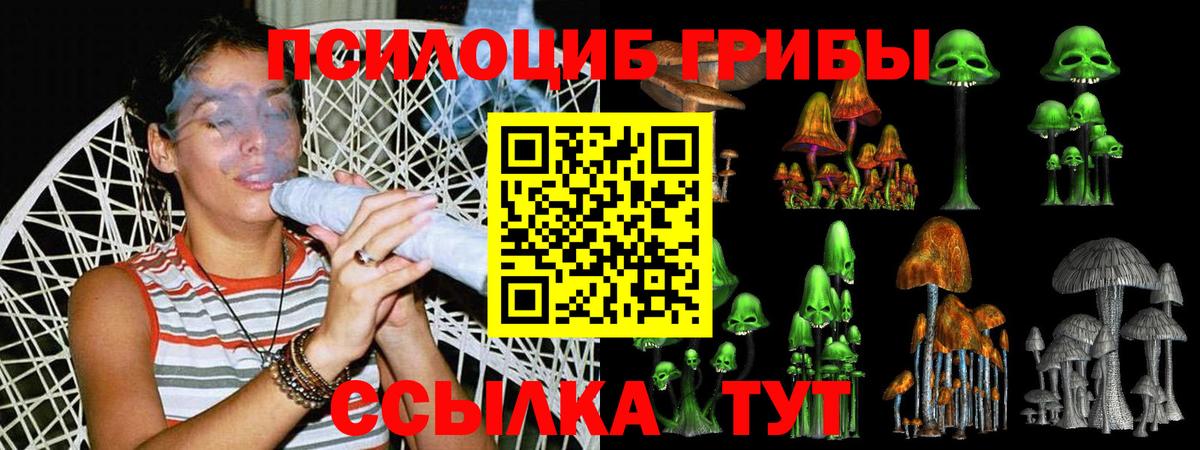 Псилоцибиновые грибы Cubensis Миллерово