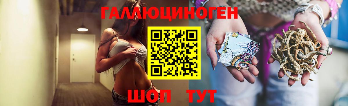 Миллерово  Псилоцибиновые грибы MAGIC MUSHROOMS  Вход с VPN 